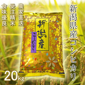 yVāz VY RVqJ  20kg (5kg×4) V sY c_ [  Ђ