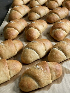 ăy[Xgo^[[ 5Zbg lC 킢  ăp _ƒ  H J[ H  Ⓚp ᓜ p  蕨 Ysg