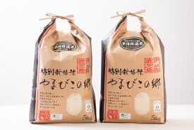 ふるさと納税サイトでも人気のお米 令和7年産 10kg 伊佐米（5kg×2袋）送料無料！農家直送 米どころ＜伊佐市産特別栽培米ヒノヒカリ＞おいしいお米ができました。玄米ペーストぱんもこのお米でできています。無洗米1〜2回の洗米でOK【他商品との同梱不可商品】