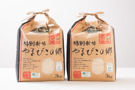 ふるさと納税サイトでも人気のお米 令和7年産 6kg 伊佐米（3kg×2袋）送料無料！農家直送 米どころ＜伊佐市産特別栽培米ヒノヒカリ＞おいしいお米ができました。玄米ペーストぱんもこのお米でできています。無洗米1〜2回の洗米でOK【他商品との同梱不可商品】