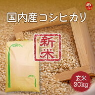 玄米 新米 令和8年産 コシヒカリ 国内（栃木県）産 1等 30kg 一等検査米 30キロ