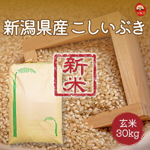 ���� �V�� �V�����Y�������Ԃ� 1�� 30kg �ߘa8�N�Y�� �ꓙ������ 30�L��