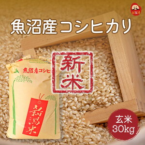 ���� �V�� �ߘa8�N�Y �����Y �R�V�q�J�� 1�� 30kg 30�L��