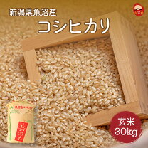 楽天市場】伊那 玄米 30kgの通販