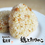 玄米おむすび 鶏たけのこ 1個 おにぎり 冷凍 玄米おにぎり 玄米 個包装 レンチン 酵素 玄米 発芽 発酵 国…