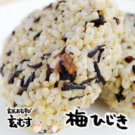 玄米おむすび 梅ひじき 1個 おにぎり 冷凍 玄米おにぎり 玄米 個包装 レンチン 酵素 玄米 発芽 発酵 国産…
