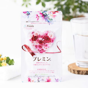 【時期別葉酸サプリ】プレミン定期コース 31日分 124粒入り (妊活中から15週向け) 葉酸サプリメント ゲンナイ製薬