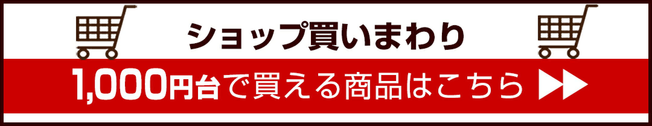 2024/06 前半ショップ買いまわり1000円台商品