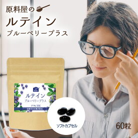 ルテイン ブルーベリー プラス 粒 ソフトカプセル エキス サプリメント 1袋60粒 約30日分