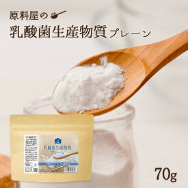 乳酸菌 生産物質 粉末 国産 乳酸菌 サプリ サプリメント 1袋70g 約23日分
