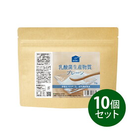 健康食品の原料屋 乳酸菌 生産物質 粉末 国産 乳酸菌 サプリ サプリメント 約7.5ヵ月分 70g×10袋