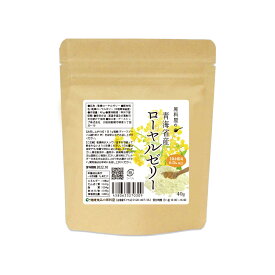 健康食品の原料屋 ローヤルゼリー 青海省産 粉末 サプリ サプリメント 約40日分 40g×1袋