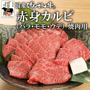 yMtgzY񂳂񋍐ԐgJrioEEEfjēp 500g 1.0kg@Y   񂳂 ē  Mtg v[g 񂳂