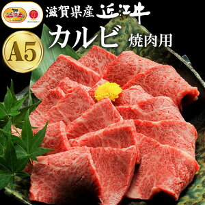 yMtgzꌧYߍ]Jrēp 400g 800g@Y   ߍ] ē  Mtg v[g 񂳂