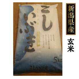 新潟産 こしいぶき 5kg 玄米（令和5年産）送料無料［贈答兼備]