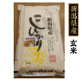 新潟産 自然乾燥ハサ掛け コシヒカリ 5kg 玄米（令和5年産）送料無料［贈答兼備]