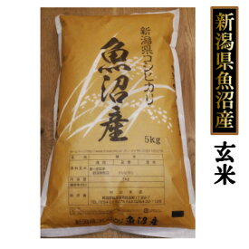 魚沼産コシヒカリ 10kg（5kg×2個）玄米 （令和5年産）新米 送料無料［贈答兼備]