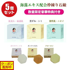 �y�N�[�|���z�z���z��点������ 5�Z�b�g Aphrodite soap �C���G�L�X�z�� �g���� �������� �����݃V�~���� ������ ������ ������ �����P�A �ێ��P�A �p���P�A ��� 100gx5 ���Y�� �t�F�X���{�f�B