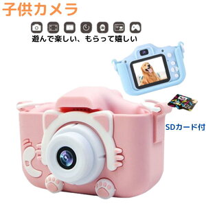 qp ~jJ fW^J LbY J gCJ 2000 32GSDJ[ht B B ő12000ʐ^B USB[d {  w j Vw a  v