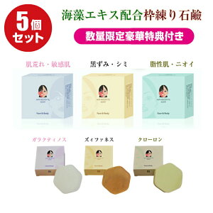 点 5Zbg Aphrodite soap CGLXz g  ݃V~    PA ێPA pPA  100gx5 Y tFX{fBp Mtg