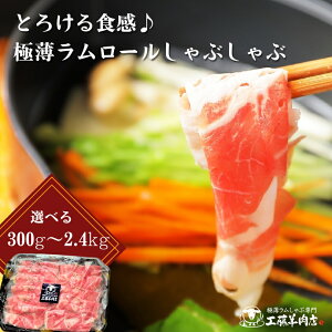 y1.2kgȏ͑z V_[ 300g~2.4kg V_[[ WMXJ mX̋ɔ̗rXCX Γ  Ԃԗp WMXJp  }g 