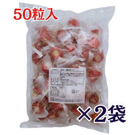苺アイス 練乳入り 50粒入×2袋 冷凍 ヒカリ乳業 丸ごと いちごアイス 個包装 プレゼント 冬ギフト 苺スイーツ イチゴ おやつ 業務用 クリスマス