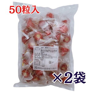 䕃ACX  50×2 Ⓚ qJ ۂ ACX  v[g ~Mtg 䕃XC[c C`S  Ɩp