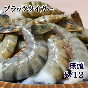  ubN^CK[  kt 8/12 Ⓚ 1.8kg ACXubN Ɩp t CV Gr BT VՂ tC Gr` uߕ ؐH o[xL[ BBQ Mtg 蕨