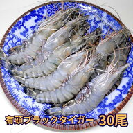 有頭 ブラックタイガー 30尾入 NET1.3kg 冷凍 業務用 BT 東南アジア産 から付き 海老 エビフライ 鉄板焼…