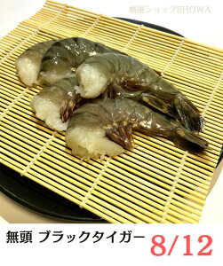 ubN^CK[  kt 8/12 TCY Ⓚ NET1.8kg ACXubN Ɩp t CV AWAY BT VՂ GrtC Gr` ؐH o[xL[ BBQ SĂ Mtg 