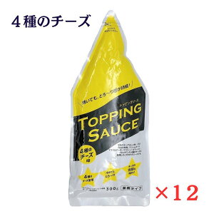 jbv gbsO\[X 4̃`[Y 300g×12 nippn Ɩ^Cv 퉷 `[Y\[X