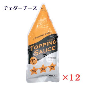 jbv gbsO\[X `F_[`[Y 300g×12 nippn Ɩ^Cv 퉷 `[Y\[X