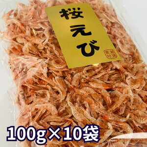 f pY 100g×10 F   CV JVEՂ g VՂ gbsO