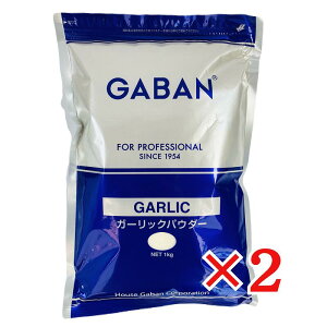 GABAN K[bN pE_[ 1kg×2 nEXMo Ɩp ɂɂ f jjN    XpCX n[u