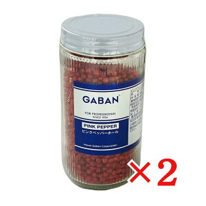 GABAN sNybp[ z[ 90g×2{ Mo Ɩp XpCX gbsO re Ӟ RV[ RVE