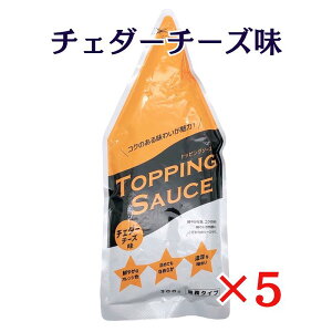 jbv gbsO\[X `F_[`[Y 300g×5 nippn Ɩ^Cv `[Y\[X 퉷