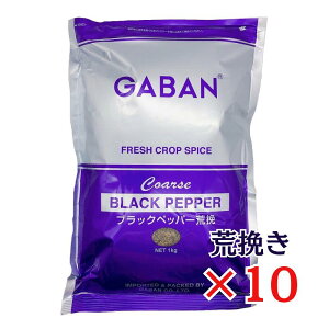 GABAN ubNybp[r 1kg×10 nEXMo e҂ Ӟ 傤 r҂ RVE r Ɩp XpCX