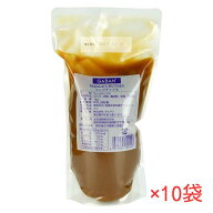 GABAN マンゴチャツネ 1kg×10袋 ハウスギャバン 業務用 マンゴー 隠し味 ペースト状調味料 手作りカレー…