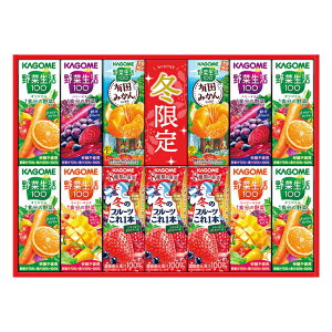 Ε ~Zbg 2025 ~Mtg W[XJS ₩EC^[oGeC[Mtg KYJ-20Wy/Ε/N/N/zy[֕sz