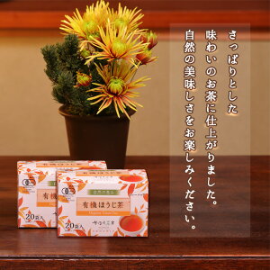 L@قeB[obO ق蒃[ 20P×1P[X(10)yzyI[KjbN//Y/ق/{zy[֕sz