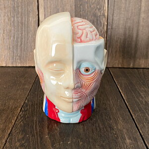 l̖͌^ oN  l̖͌^oN Ȏ ͌^ |  l CeA u 