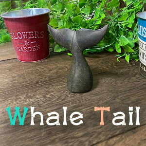 NW   u CeA C̐ zG[e[ I[ig