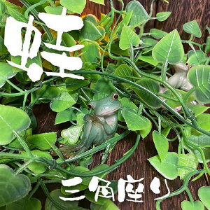 ^ JG  u CeA X   킢  Op