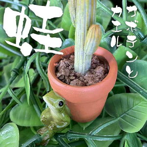 ^ JG  u CeA X   킢  T{eƃJG