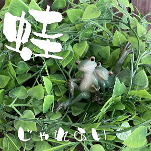 ^ JG  u CeA X   킢  JG ꂠ