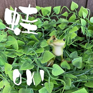 ^ JG  u CeA X   킢  JG OK OK