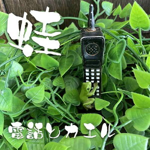 ^ JG  u CeA X   킢  db dbƃJG