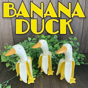 oii Ђ _bN oii_bN u 킢 I[ig IuWF