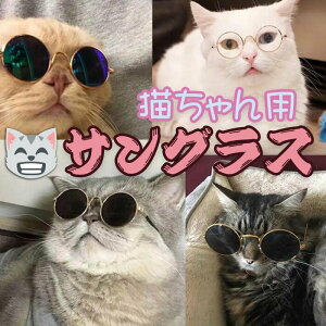 ߂ Kl TOX L Lp CX^ Tik-Tok Be 킢 