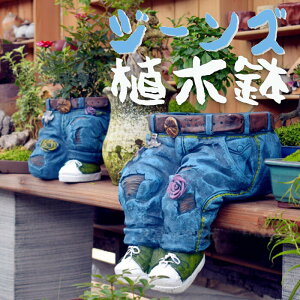 Aؔ W[Y fj 킢   K[f v^[  ؉ t[|bg K[f{bNX